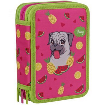 Пенал 3 отделения текстиль с рисунком "Berlingo" Juicy Pug PK06408