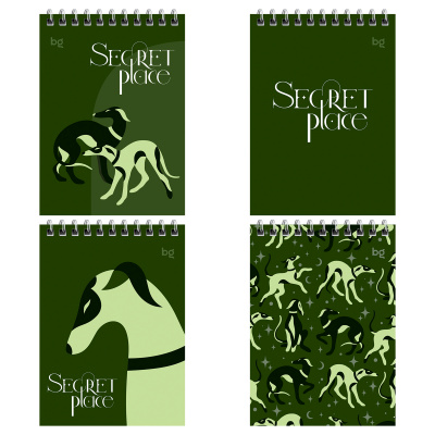 Блокнот А6, 60 листов, в клетку, на спирали БиДжи Secret Place 58719
