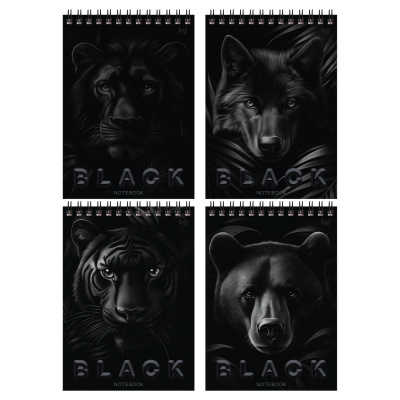 Блокнот А5, 40 листов, в клетку, на спирали "BG" Just black 07048